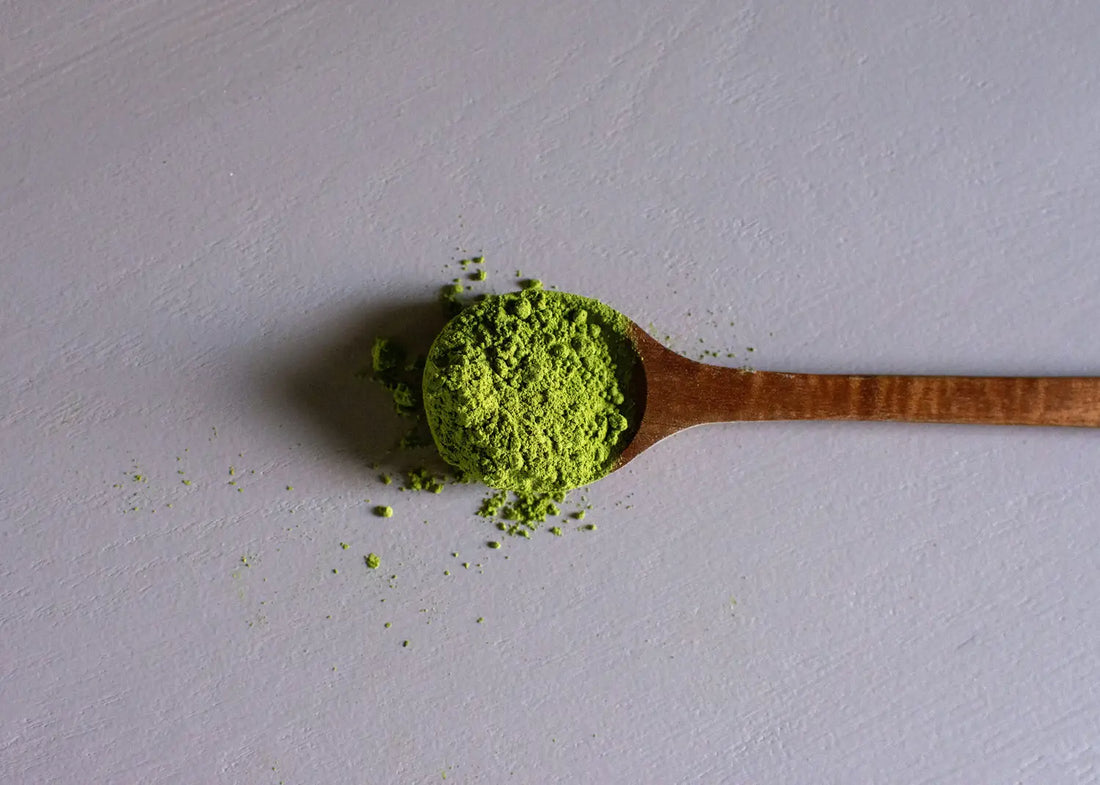 Herbata matcha vs. zwykła zielona herbata: co warto wiedzieć?