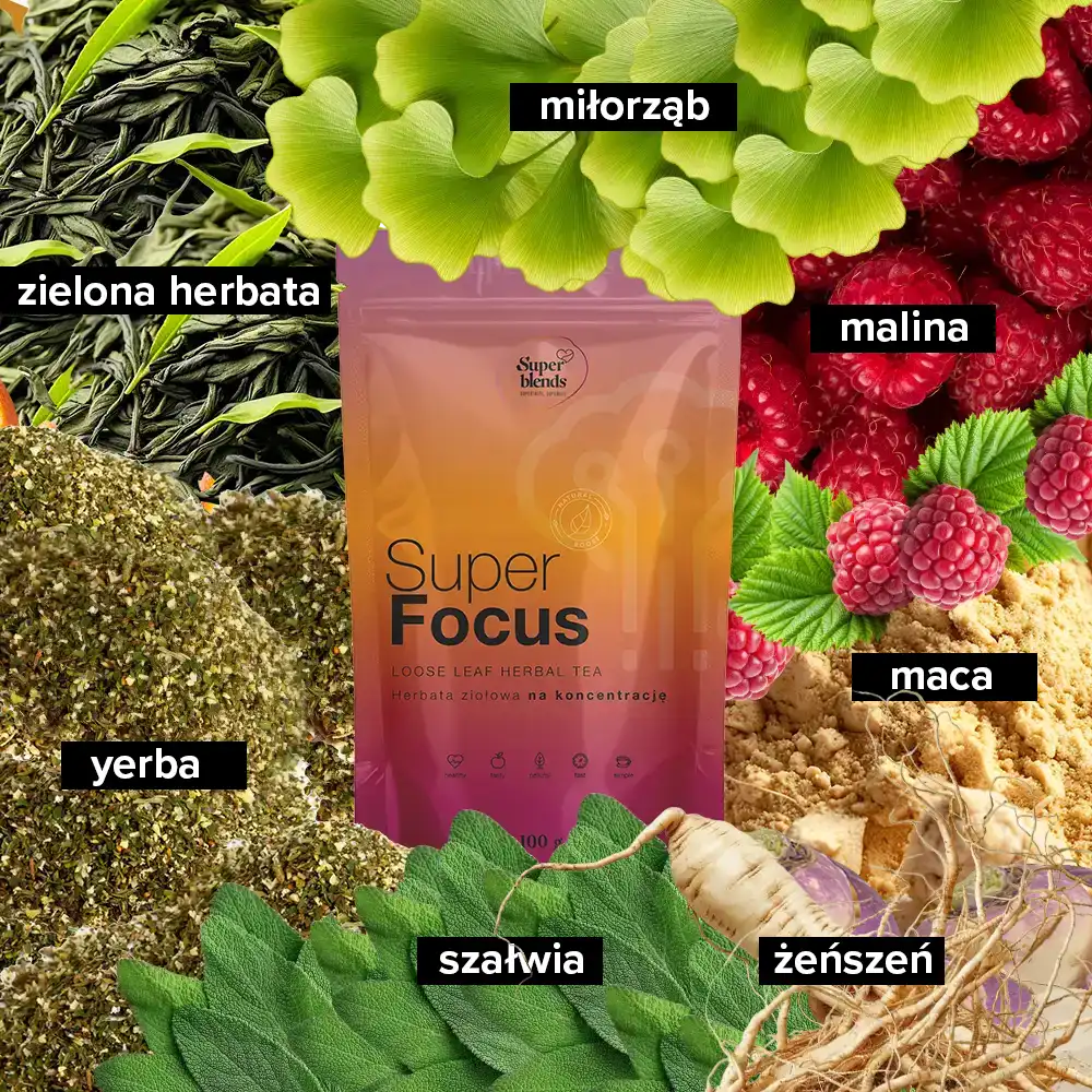 Super FOCUS i jej składniki: zielona herbata, żeń-szeń, yerba, malina, maca, miłorząb, szałwia