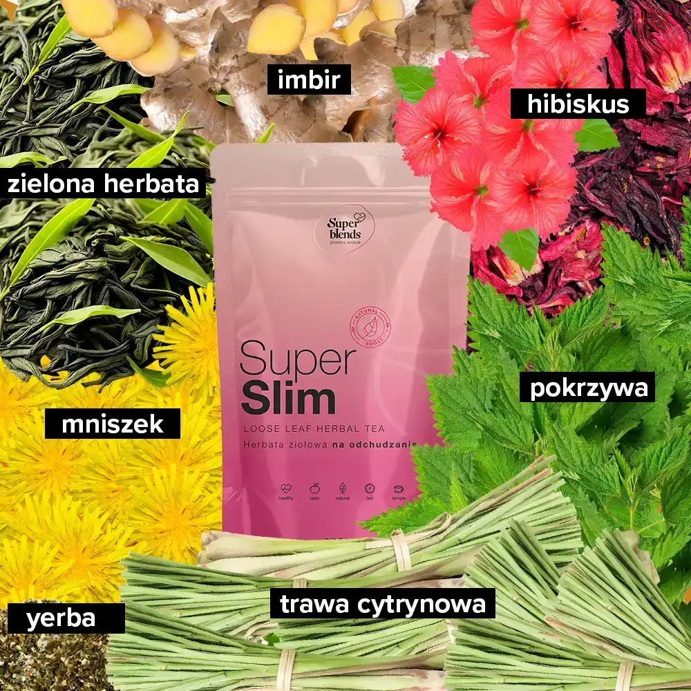 Super SLIM i jej składniki: zielona herbata, pokrzywa, hibiskus, mniszek, imbir, yerba, trawa cytrynowa